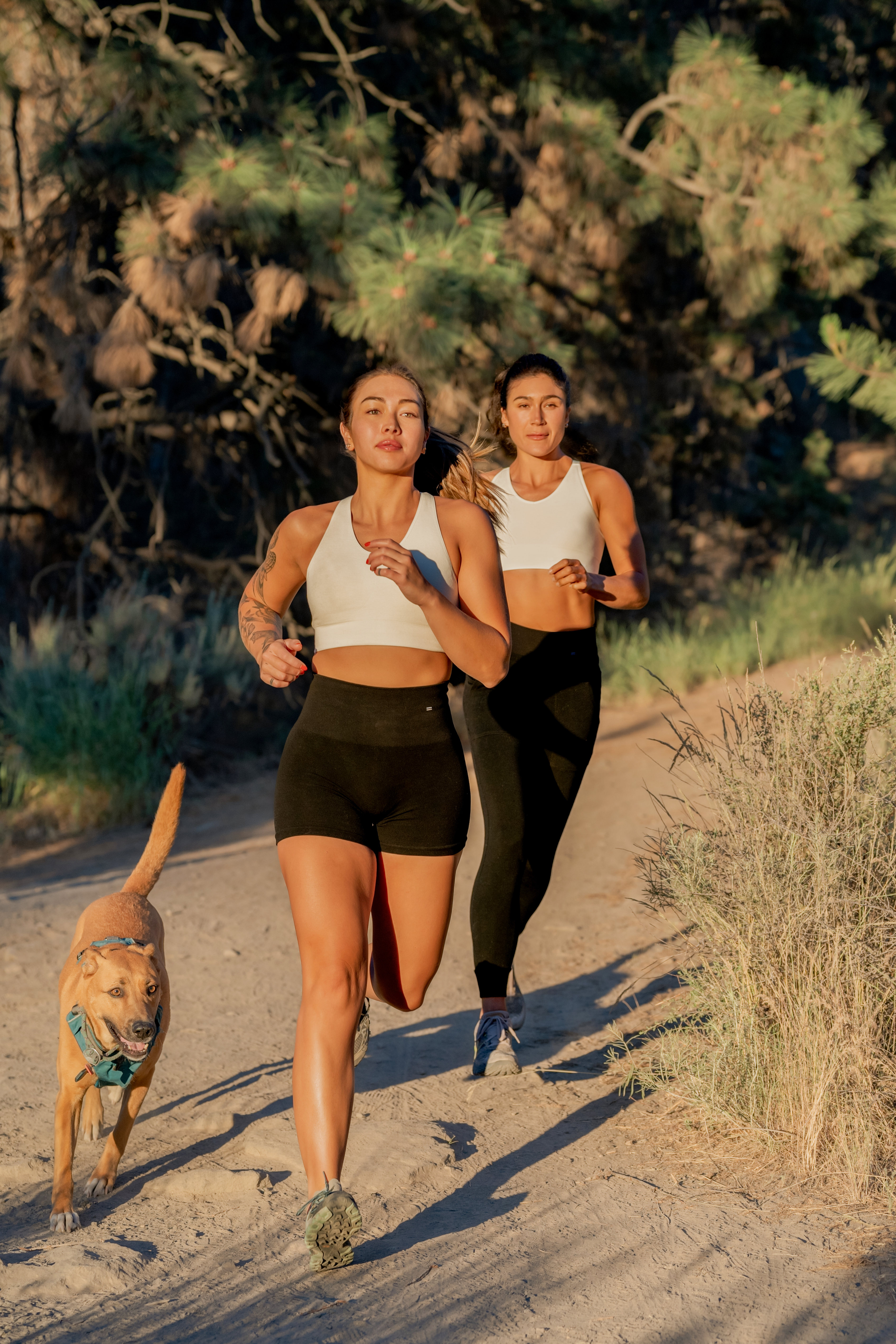 Health and fitness